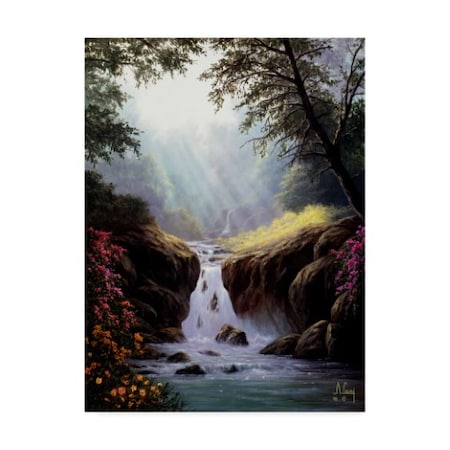 Anthony Casay 'Light On A Waterfall' Canvas Art,24x32